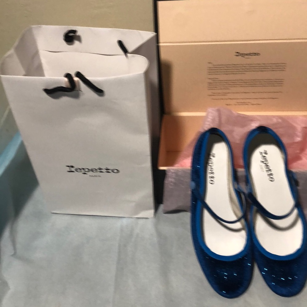 Repetto cendrillon ballerinas